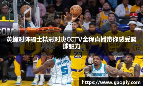 黄蜂对阵骑士精彩对决CCTV全程直播带你感受篮球魅力